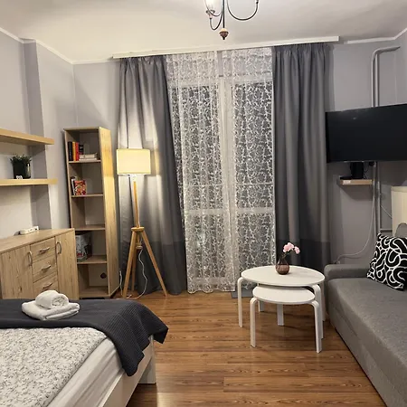 W Sercu Gdanska Appartement *